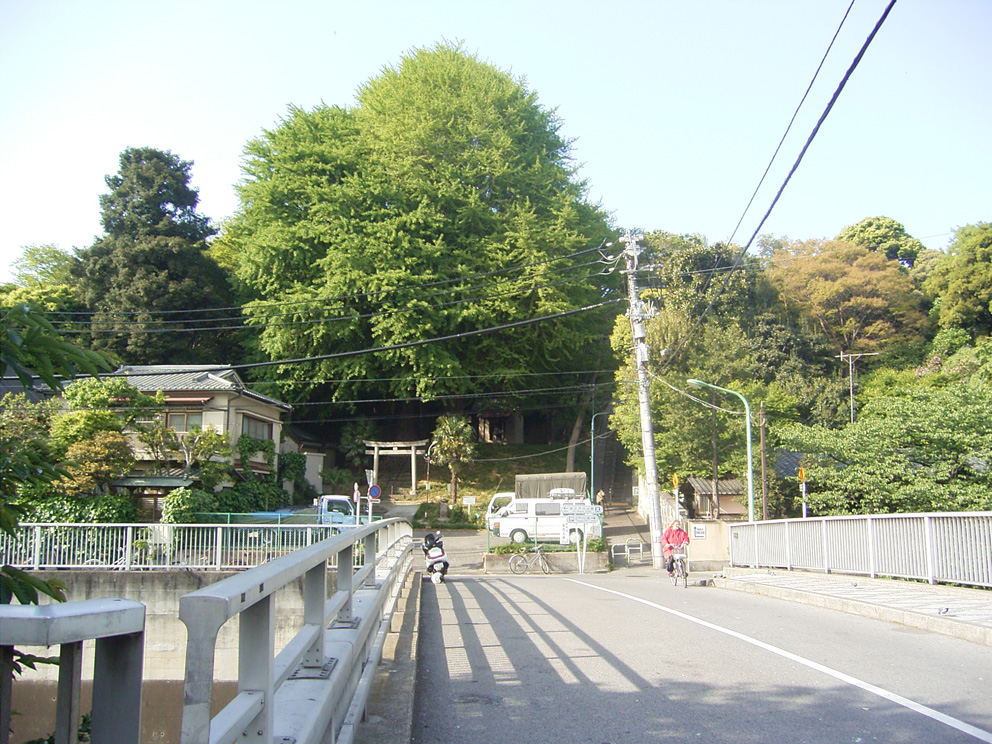 kandagawa1.jpg