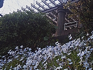 scape 070310_1705~01.jpg